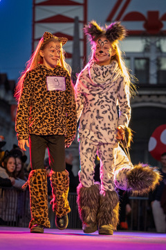 Kamniški karneval navdušil z barvito povorko (67)